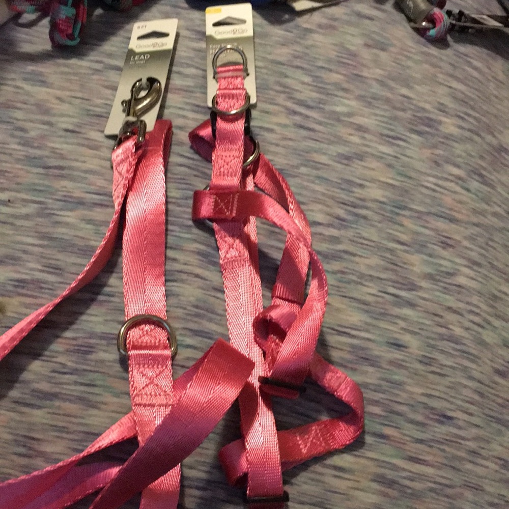 Harness and leash pink